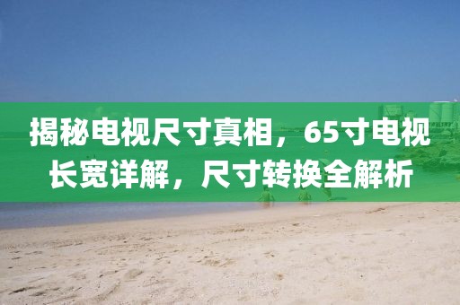 2025年3月 第320页