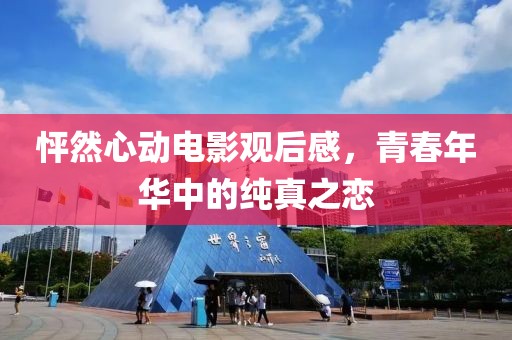 怦然心动电影观后感，青春年华中的纯真之恋