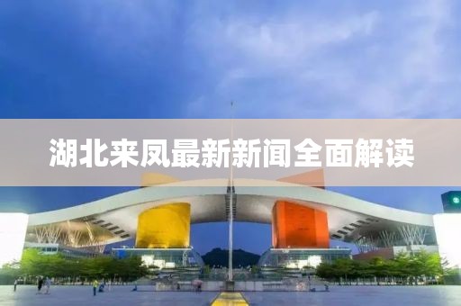 湖北来凤最新新闻全面解读