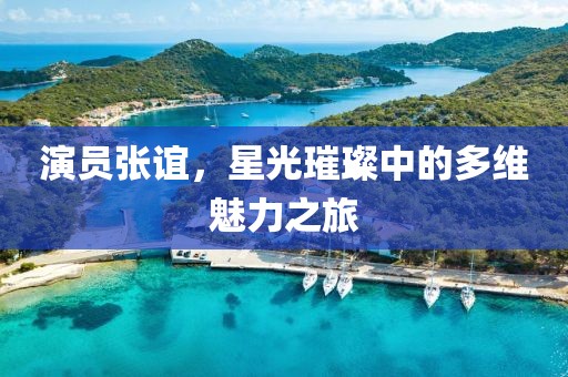 演员张谊，星光璀璨中的多维魅力之旅