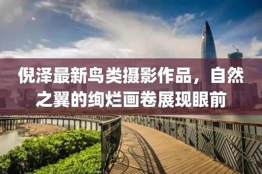 倪泽最新鸟类摄影作品，自然之翼的绚烂画卷展现眼前