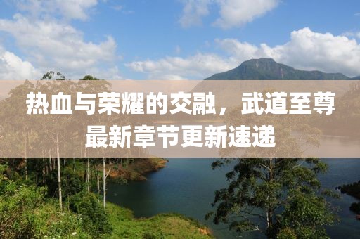 热血与荣耀的交融，武道至尊最新章节更新速递