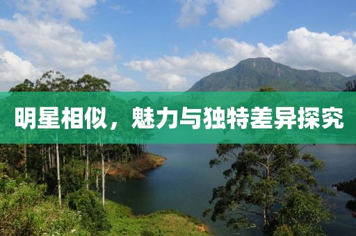 明星相似，魅力与独特差异探究
