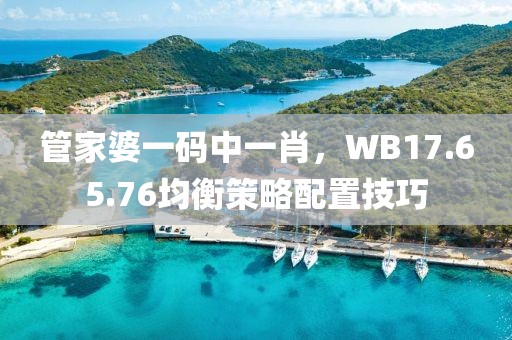 管家婆一码中一肖，WB17.65.76均衡策略配置技巧