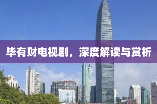 毕有财电视剧，深度解读与赏析