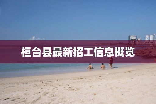 桓台县最新招工信息概览