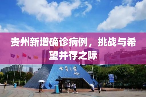 贵州新增确诊病例，挑战与希望并存之际