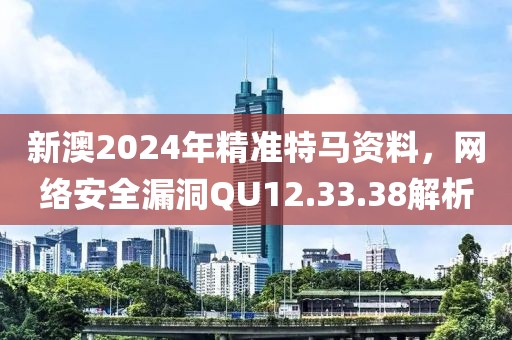 新澳2024年精准特马资料，网络安全漏洞QU12.33.38解析