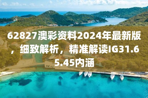 62827澳彩资料2024年最新版，细致解析，精准解读IG31.65.45内涵