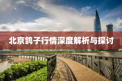 北京鸽子行情深度解析与探讨