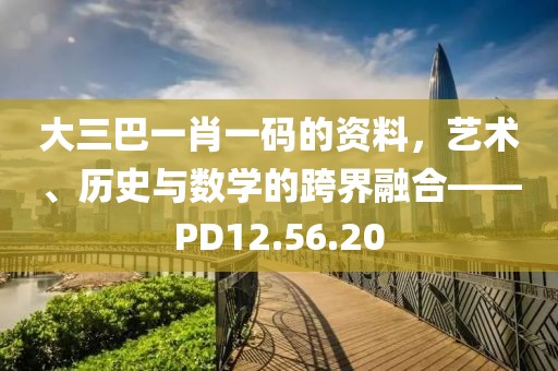 大三巴一肖一码的资料，艺术、历史与数学的跨界融合——PD12.56.20