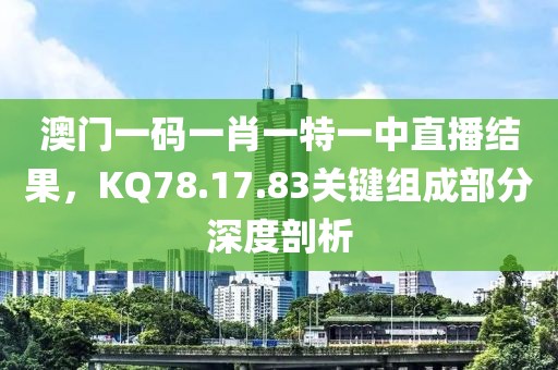 澳门一码一肖一特一中直播结果，KQ78.17.83关键组成部分深度剖析