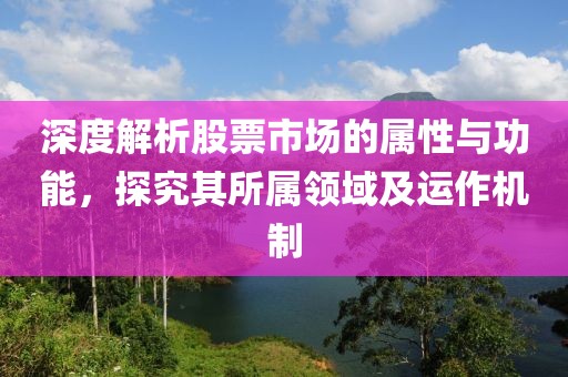 深度解析股票市场的属性与功能，探究其所属领域及运作机制