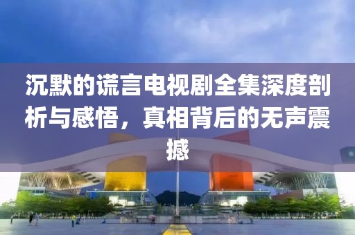 沉默的谎言电视剧全集深度剖析与感悟，真相背后的无声震撼