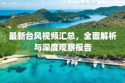 最新台风视频汇总，全面解析与深度观察报告