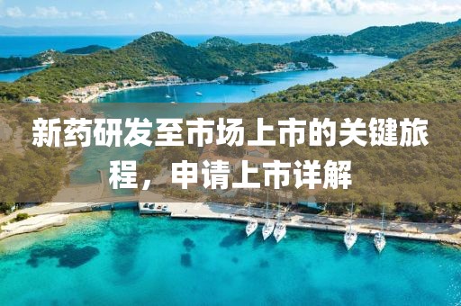 新药研发至市场上市的关键旅程，申请上市详解