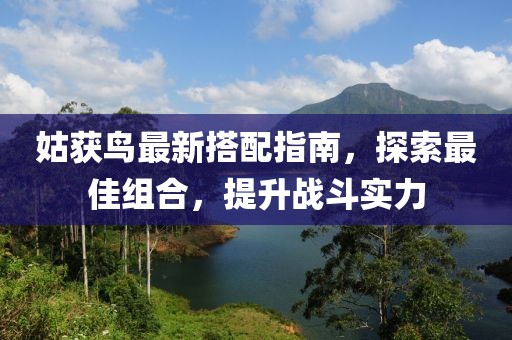 姑获鸟最新搭配指南，探索最佳组合，提升战斗实力