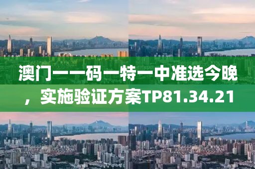澳门一一码一特一中准选今晚，实施验证方案TP81.34.21