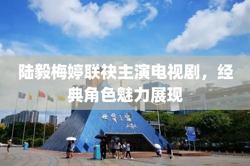 陆毅梅婷联袂主演电视剧，经典角色魅力展现