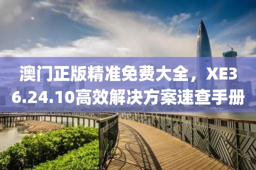 澳门正版精准免费大全，XE36.24.10高效解决方案速查手册