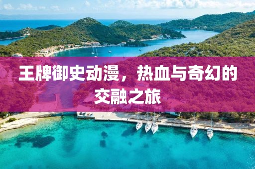 王牌御史动漫，热血与奇幻的交融之旅
