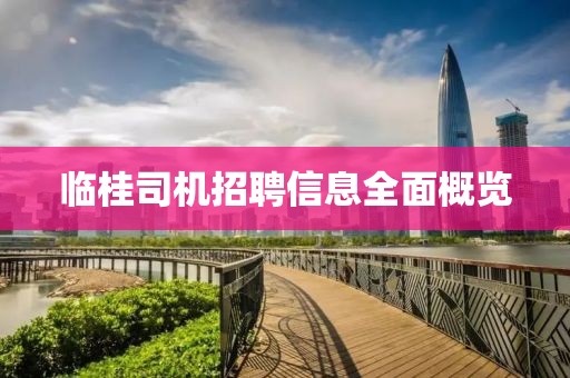 临桂司机招聘信息全面概览