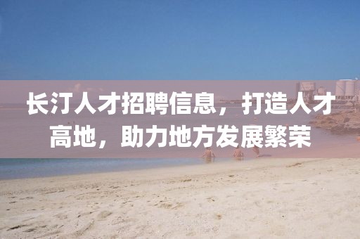 长汀人才招聘信息，打造人才高地，助力地方发展繁荣