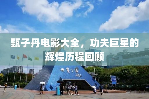甄子丹电影大全，功夫巨星的辉煌历程回顾
