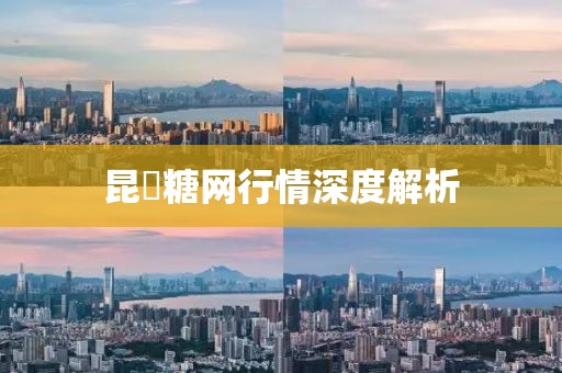 昆榶糖网行情深度解析
