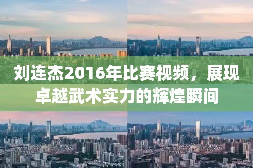 刘连杰2016年比赛视频，展现卓越武术实力的辉煌瞬间