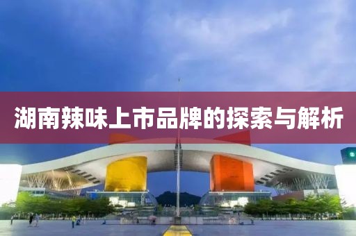 湖南辣味上市品牌的探索与解析