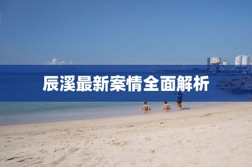 辰溪最新案情全面解析