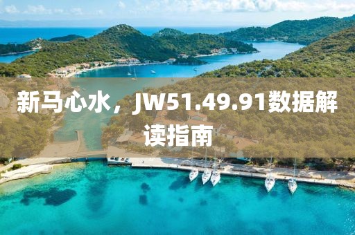 新马心水，JW51.49.91数据解读指南