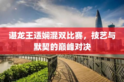 谌龙王适娴混双比赛，技艺与默契的巅峰对决