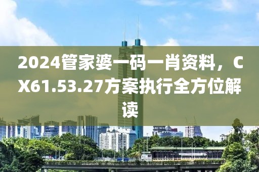 2024管家婆一码一肖资料，CX61.53.27方案执行全方位解读