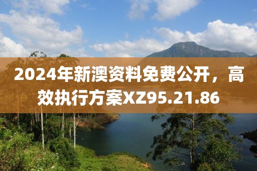 2024年新澳资料免费公开，高效执行方案XZ95.21.86
