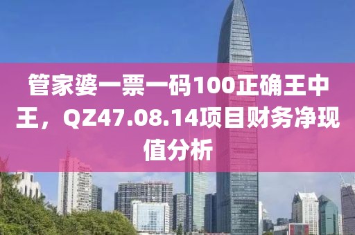 管家婆一票一码100正确王中王，QZ47.08.14项目财务净现值分析