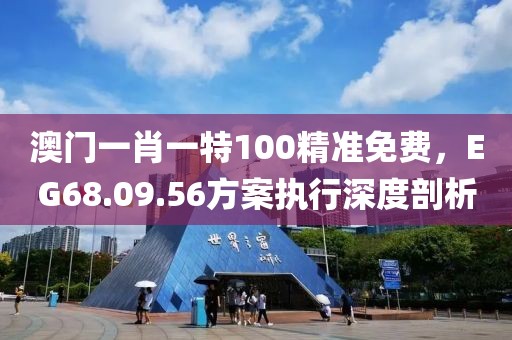澳门一肖一特100精准免费，EG68.09.56方案执行深度剖析