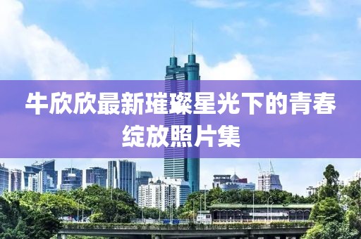 牛欣欣最新璀璨星光下的青春绽放照片集