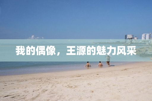 我的偶像，王源的魅力风采