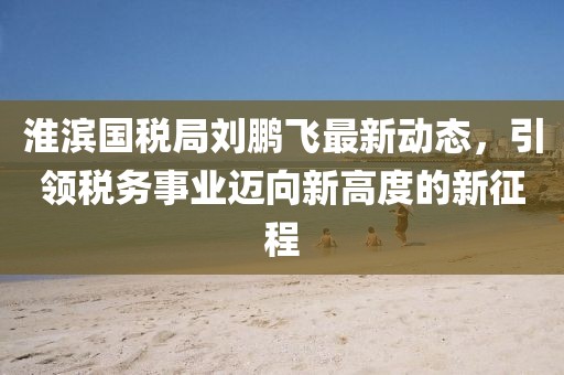 淮滨国税局刘鹏飞最新动态，引领税务事业迈向新高度的新征程
