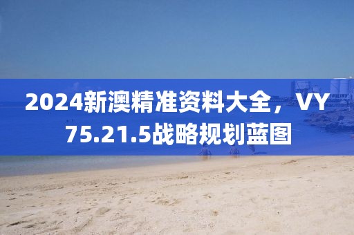 2024新澳精准资料大全，VY75.21.5战略规划蓝图
