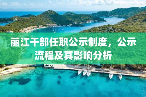 丽江干部任职公示制度，公示流程及其影响分析