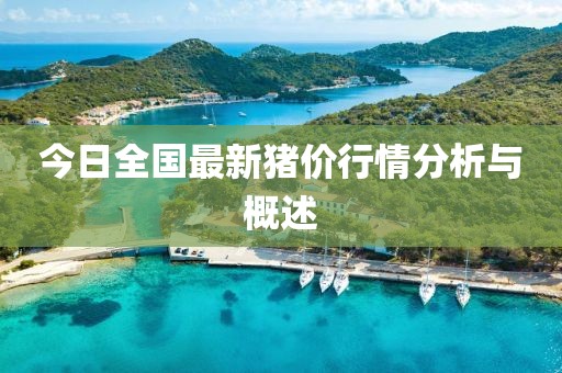 今日全国最新猪价行情分析与概述