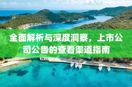 全面解析与深度洞察，上市公司公告的查看渠道指南
