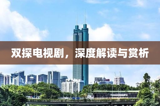 双探电视剧，深度解读与赏析