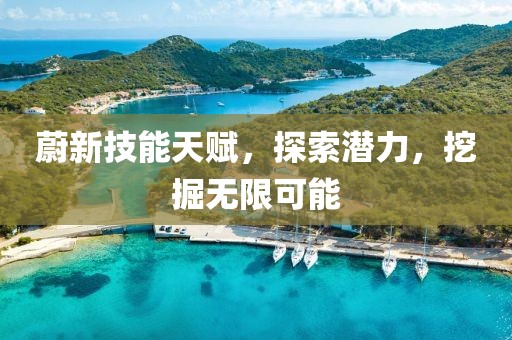蔚新技能天赋，探索潜力，挖掘无限可能
