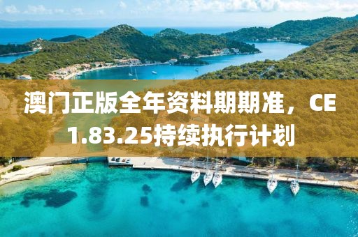 澳门正版全年资料期期准，CE1.83.25持续执行计划