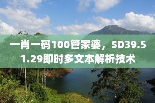 一肖一码100管家婆，SD39.51.29即时多文本解析技术