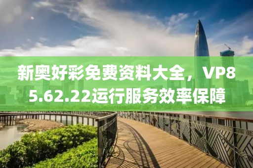 新奥好彩免费资料大全，VP85.62.22运行服务效率保障